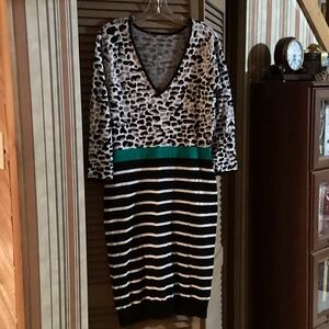 Leopard and Striped V-Neck Sweater Dress